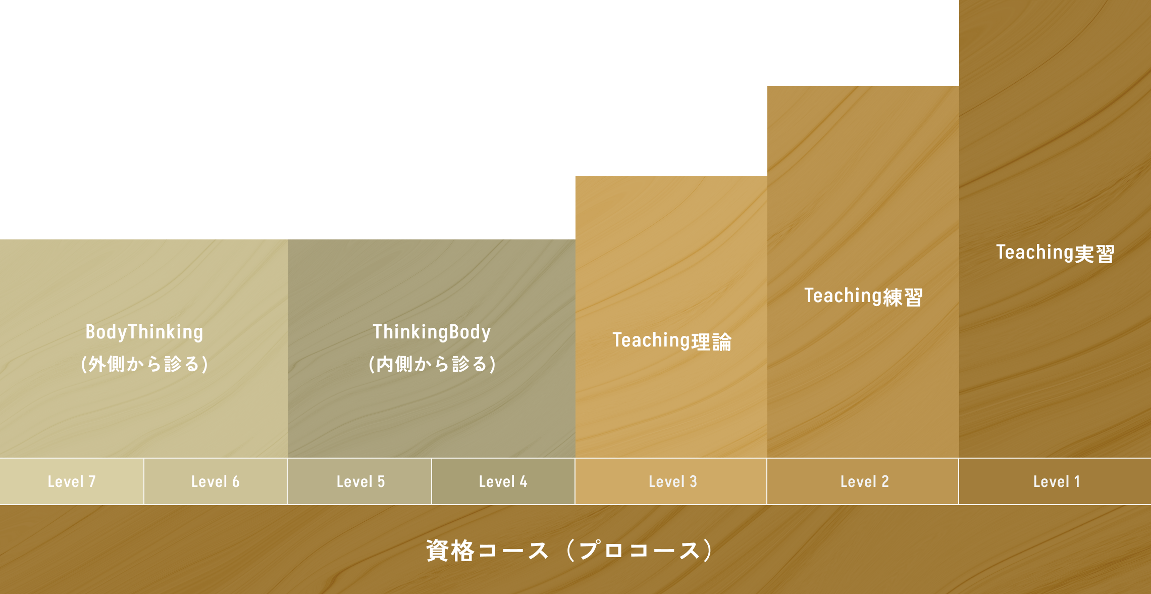 段階的なクラスシステム